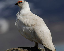 Photographer: Joaquín Guerrero Campo