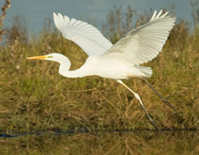 Photographer: Rául Tomás Granizo