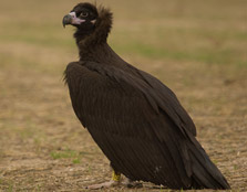 Photographer: Manuel Hernández