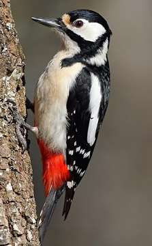 Photographer: Óscar Jesús Gozález