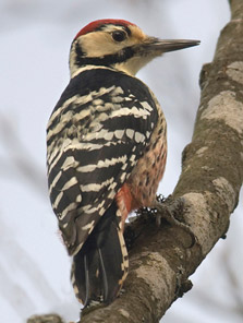 Photographer: Rául Tomás Granizo