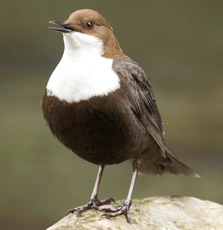 Photographer: Joaquín Guerrero