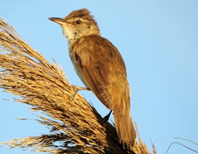 Photographer: Óscar Jesús González