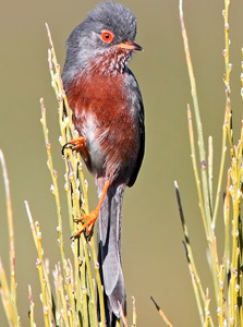 Photographer: Óscar Jesús González