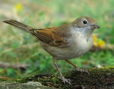 Photographer: Óscar Jesús González