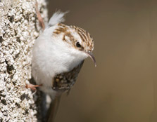 Photographer: Rául Tomás Granizo