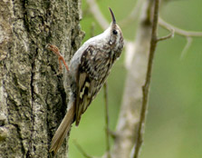 Photographer: Joaquín Guerrero