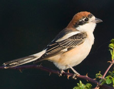 Photographer: Rául Tomás Granizo