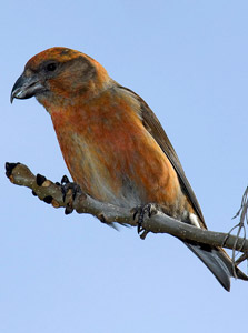 Photographer: Joaquín Guerrero