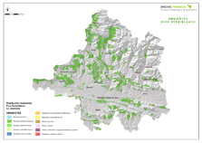 White-backed Woodpecker environments