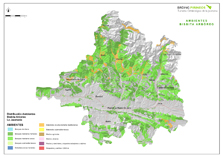 Ambientes Bisbita Arbóreo