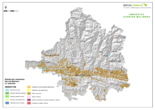 Eurasian Tree Sparrow environments 