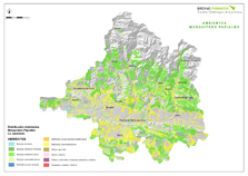 Environments Western Bonelli's Warbler Environments Western Bonelli's Warbler