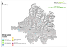 Eurasian Wryneck environment