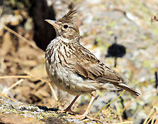 Photographer: Alberto Portero