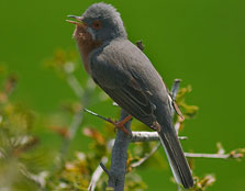 Photographer: Jorge Ruíz del Olmo