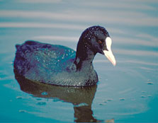 Photographer: Ministerio de Medio Ambiente