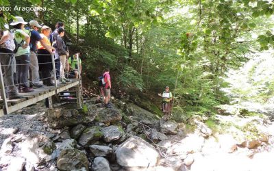 Finalizan con éxito las Rutas Ornitológicas 2017 de la Comarca de la Jacetania