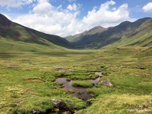 Ruta 5 Selva de Oza – Aguas Tuertas