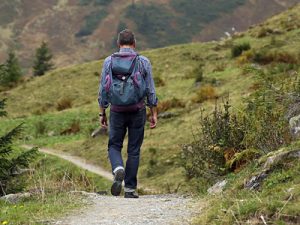 Rutas BIRDING PIRINEOS Ornitología en la Jacetania