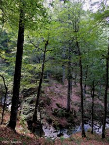 Ruta/Trail 2 Gamueta – Linza