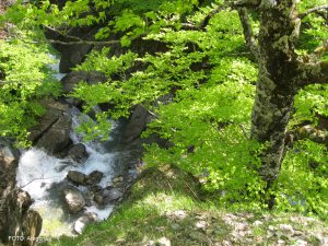 Ruta/ Trail 3 Zuriza - Achar de Alano
