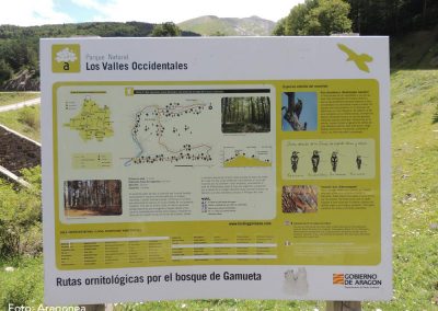 Ruta/Trail 2 Gamueta – Linza