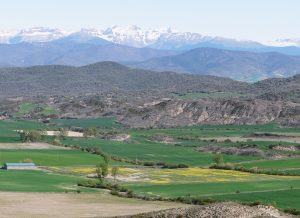 PASTIZALES, PRADERAS Y CAMPOS DE CULTIVO