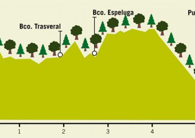 Ruta 1- Zuriza – río Veral