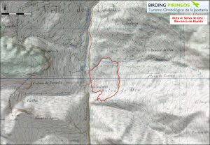 Ruta 4 Selva de Oza