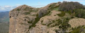 RUPÍCOLA. Cuevas, grutas, abrigos, oquedades, cortados, fisuras en la roca… constituyen el hábitat de determinadas especies de aves, las aves denominadas como rupícolas.
