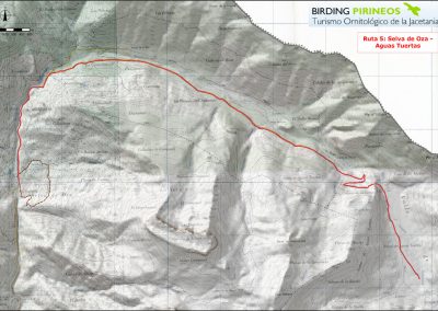 Ruta/Trail 5 Selva de Oza - Aguas Tuertas