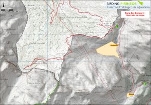 Ruta 8a: Somport - Chorrota de Aspe