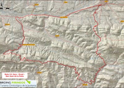 Ruta 12: Jaca - Peña Oroel - San Juan de la Peña - Santa Cruz Serós - Jaca