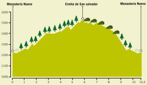 Ruta 13: Senderos de San Juan de la Peña