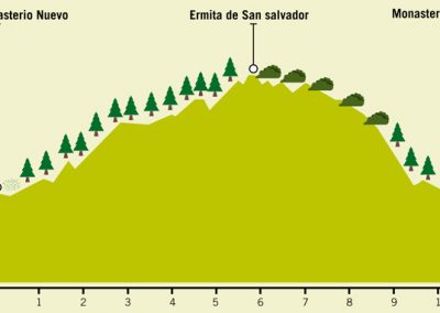 Ruta 13: Senderos de San Juan de la Peña