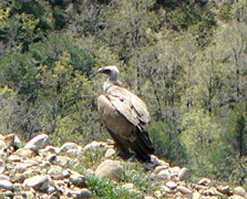 Ruta 13: Senderos de San Juan de la Peña