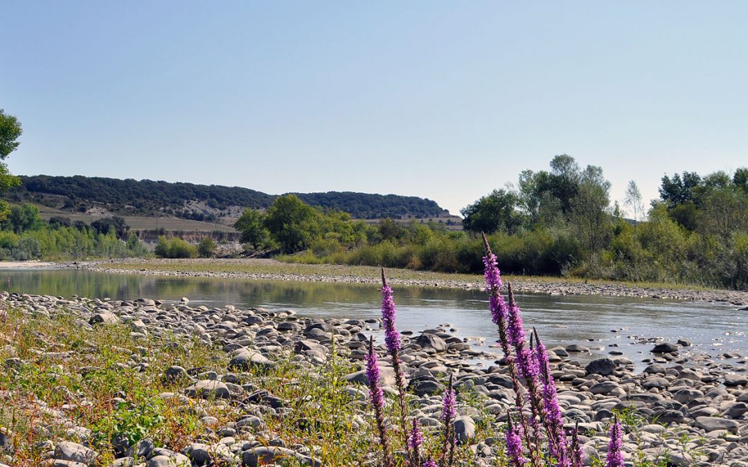 Ruta 10: Berdún - Sotos del río Aragón