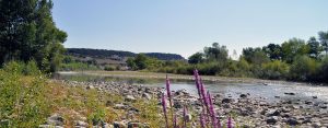 Ruta 10: Berdún - Sotos del río Aragón
