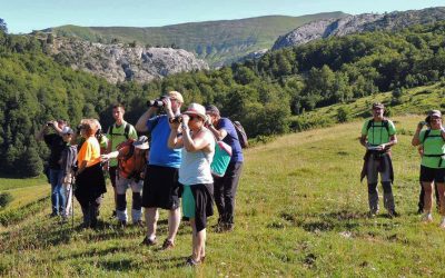 Excursiones Ornitológicas por la Comarca de la Jacetania