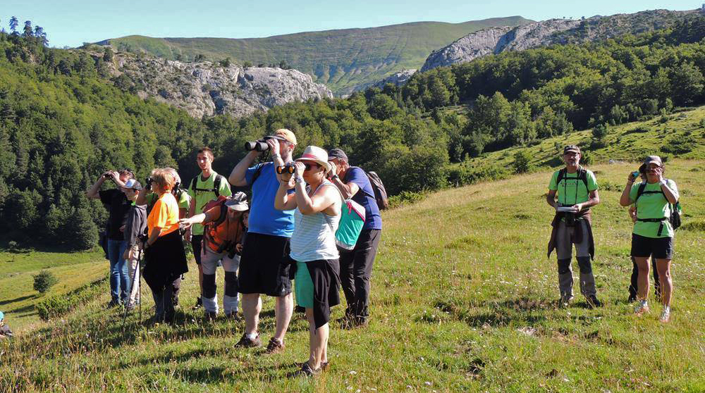 Excursiones Ornitológicas por la Comarca de la Jacetania