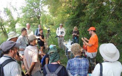 Excursión ornitológica y de interpretación por Somport