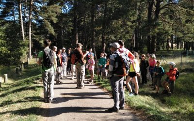 Excursión ornitológica y de interpretación de paisaje al Mirador Río Aragón-Artieda