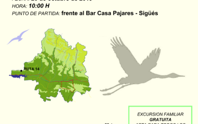 SUSPENDIDA Excursión ornitológica por el Mirador de Sigüés