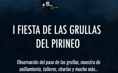 I Fiesta de las Grullas del Pirineo