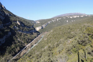 Ruta 14: Cañón del Río Esca Salvatierra - Sigüés