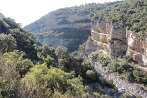 Ruta 14: Cañón del Río Esca Salvatierra - Sigüés