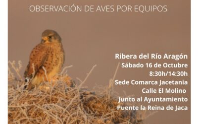 Mini-Maratón Ornitológico en La Jacetania