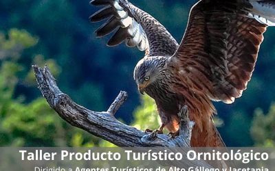 Taller de creación de Producto Turístico Ornitológico